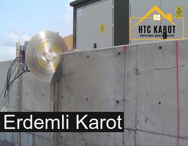 Erdemli Karot